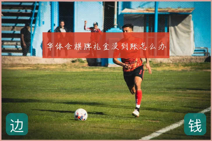 华体会棋牌礼金没到账怎么办